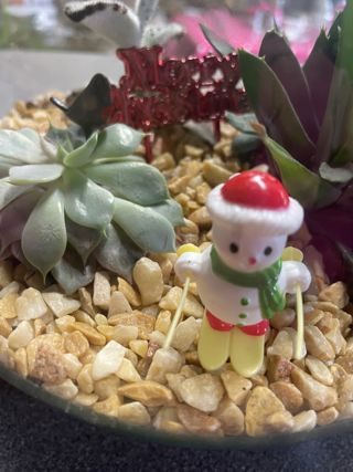 Christmas Terrarium 2