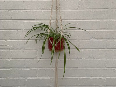 Penney Macrame 3