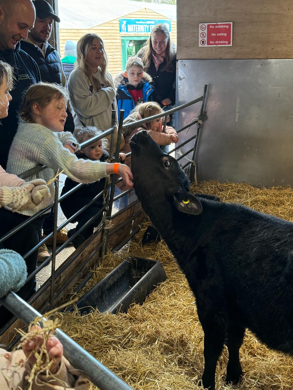 5Cb728fc 1715 4Dfc B4fd 7302C21ce9c1