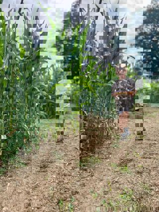 D43b3b75 57B8 4Db1 A131 83B2fd142d3d