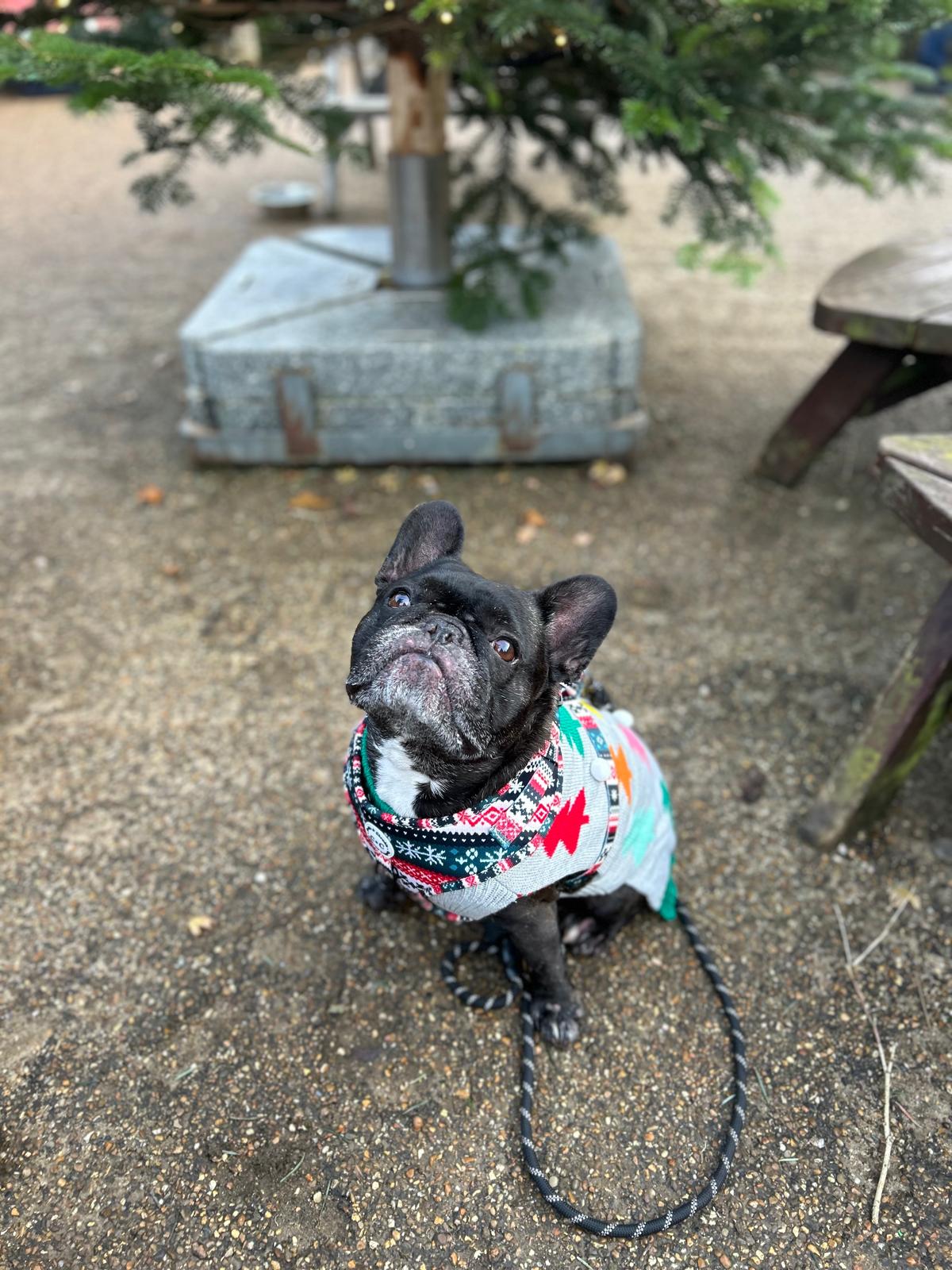 Whatsapp Image 2025 10 09 At 14.04.13 A7ef635c