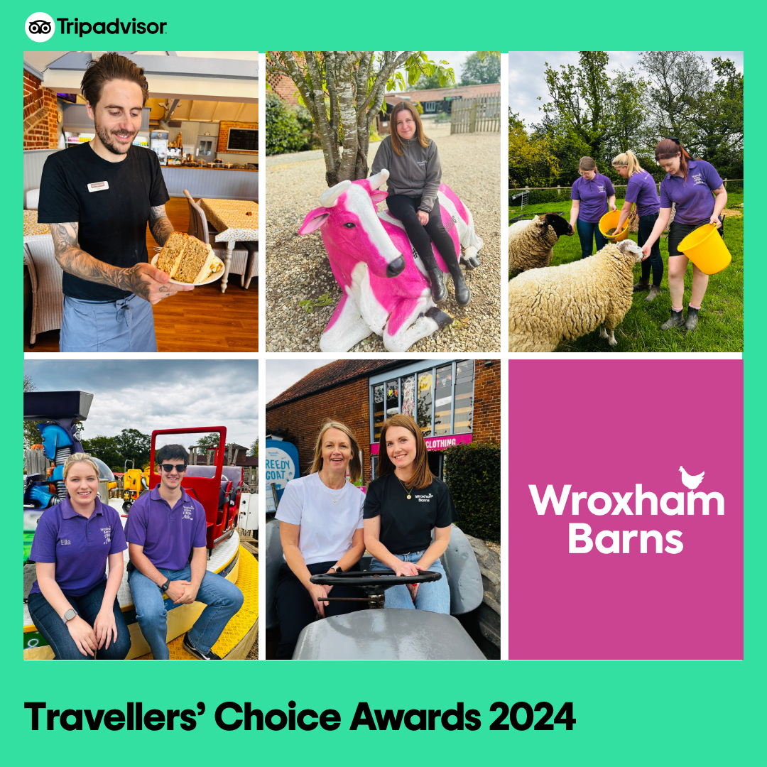 Untitled Design (60)