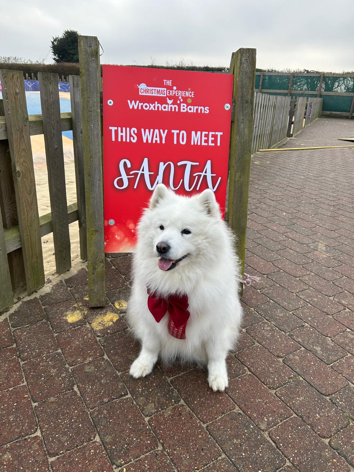 Whatsapp Image 2025 10 09 At 14.04.12 3B5ecf13