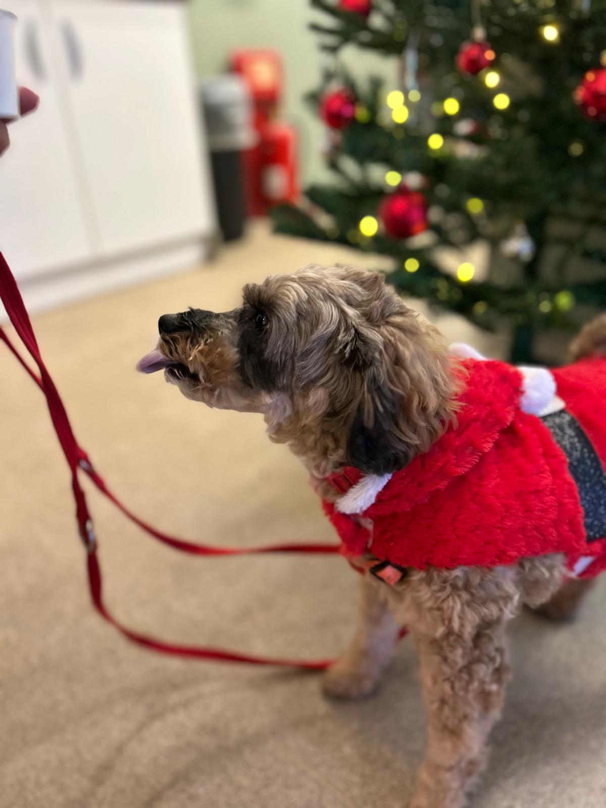 Whatsapp Image 2025 10 09 At 14.04.10 6743922C