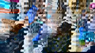 Db5e9429 C116 494C 8Cc9 1Ce5afa66f76