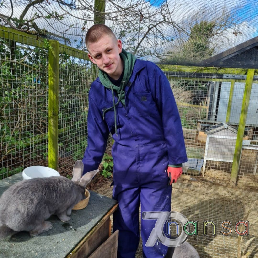 438710597 817019620455632 6961284204022183243 N