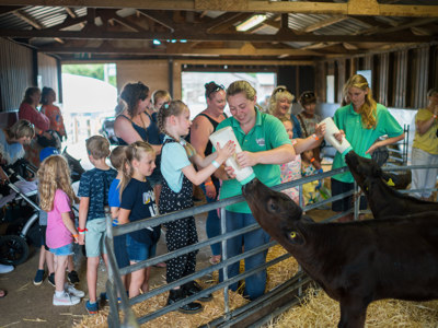 Wroxham Barns RJ 09845