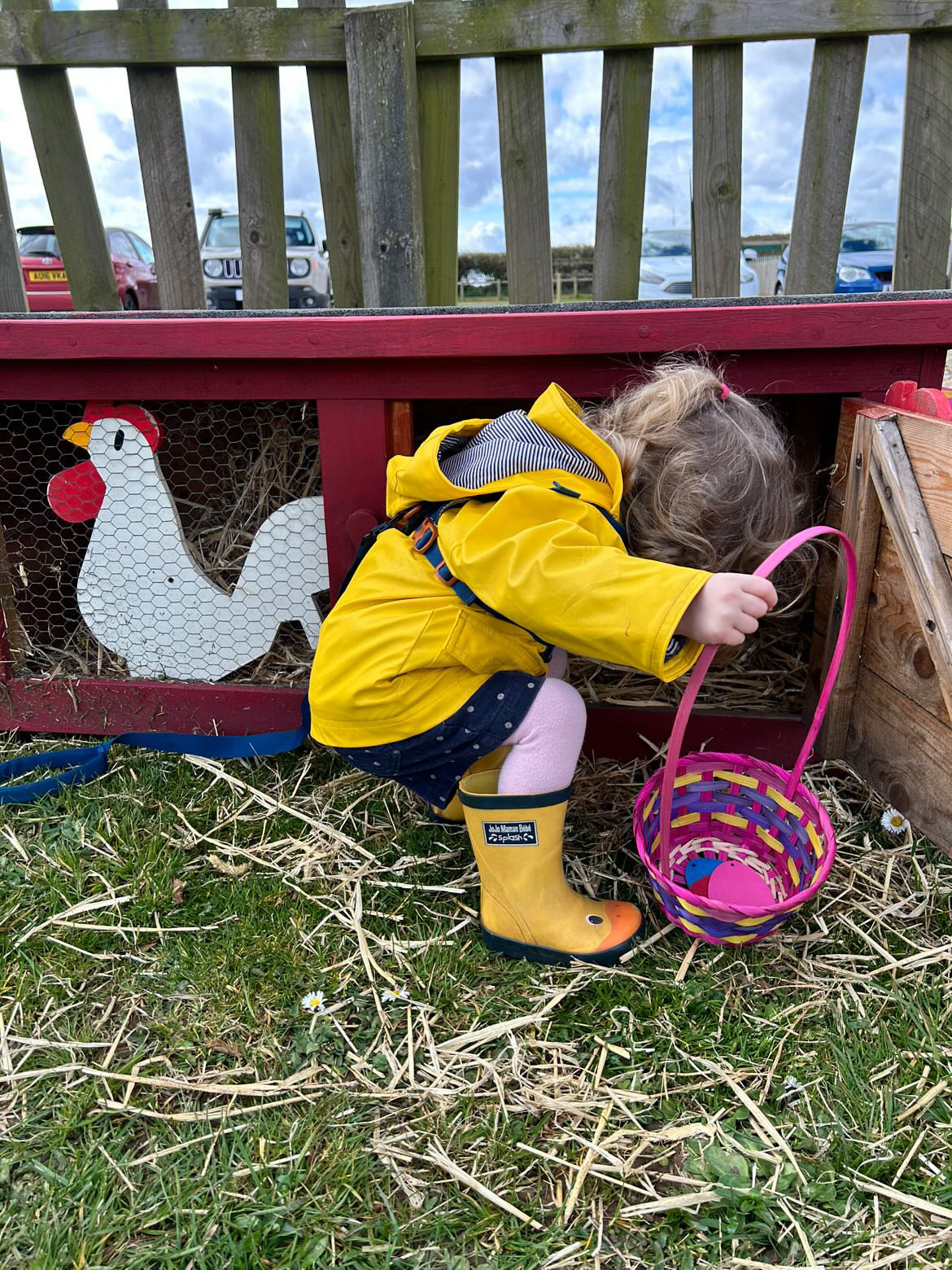 A82FD9CC 0B82 462B 8BBE 8BE039E44163