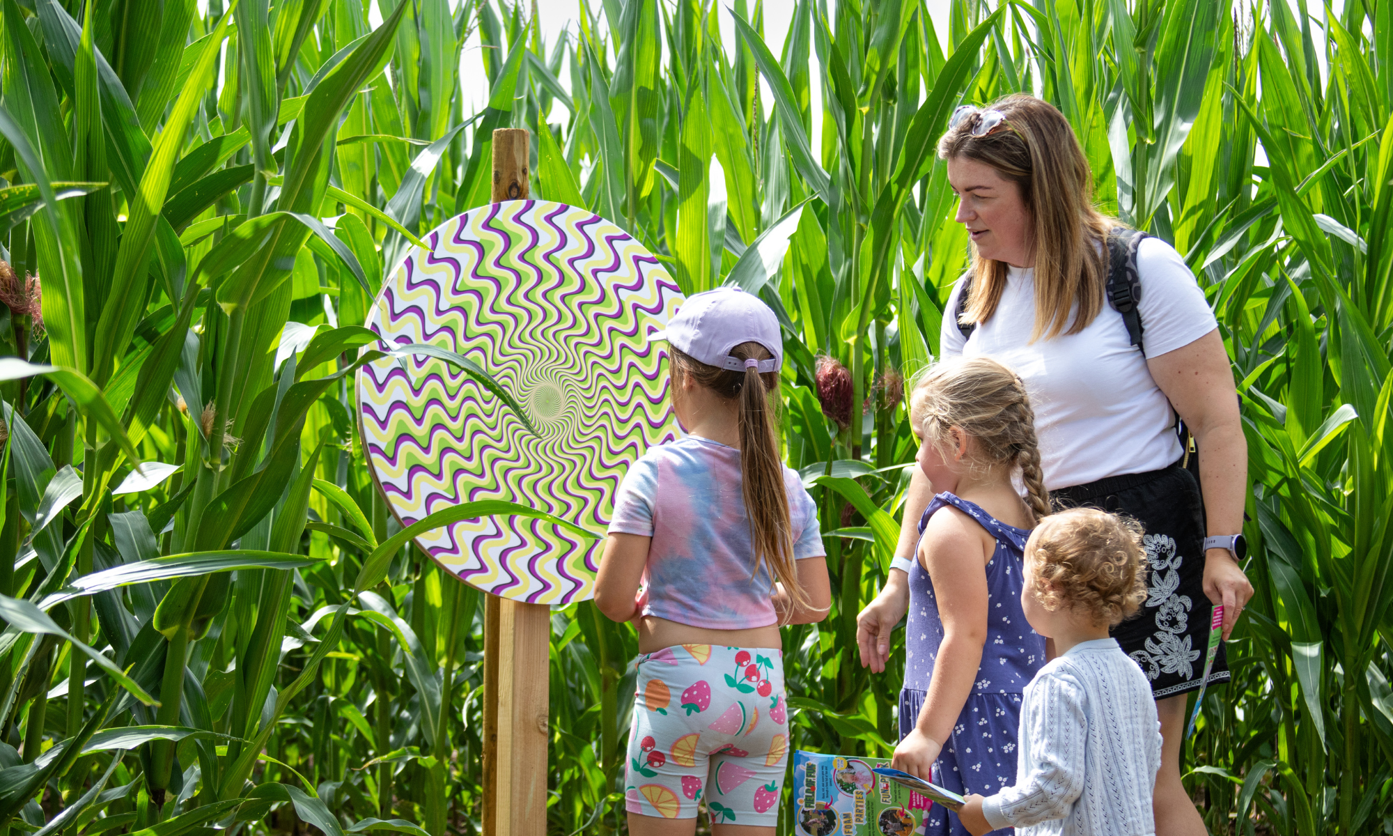 Maize Of Illusions 4