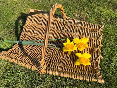 Trug 1