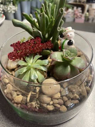 Christmas Terrarium 1