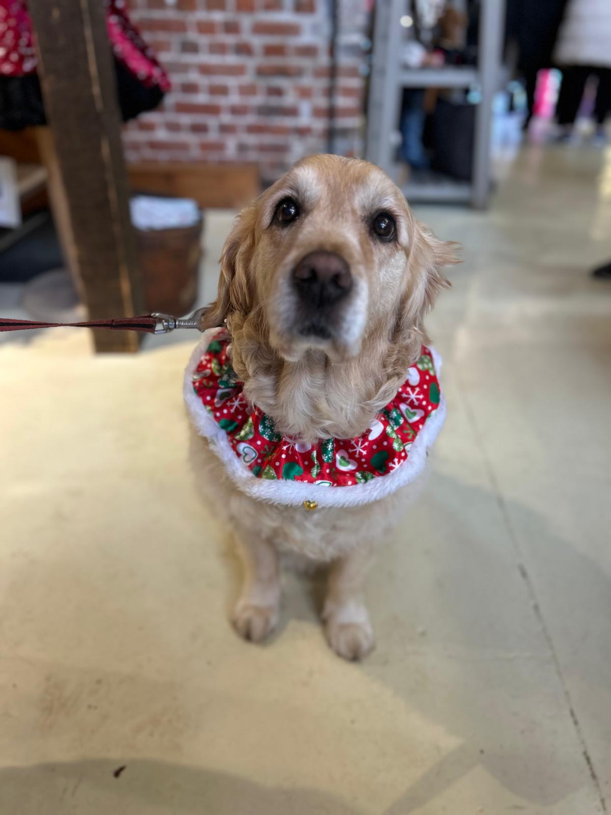 Whatsapp Image 2025 10 09 At 14.04.13 2Fe1dba1