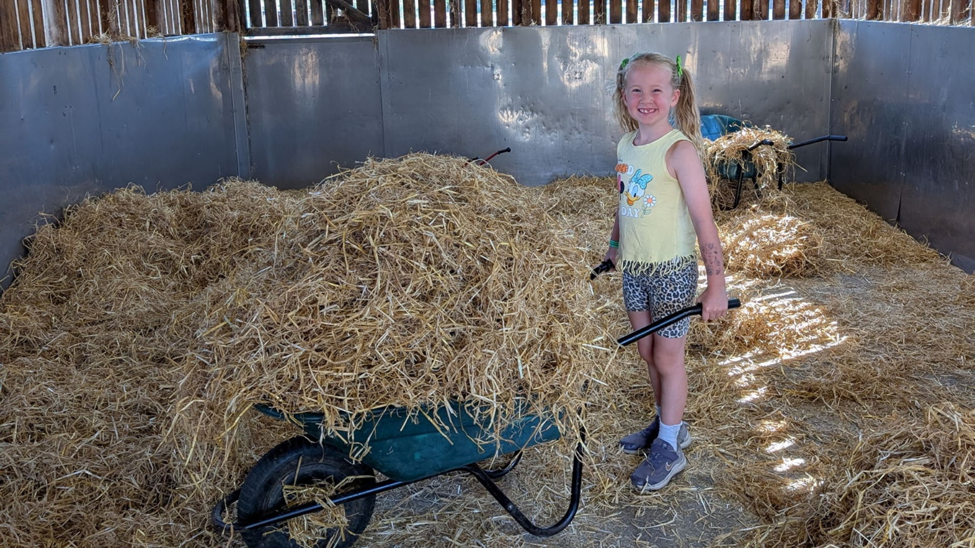 MUCKING OUT BARN