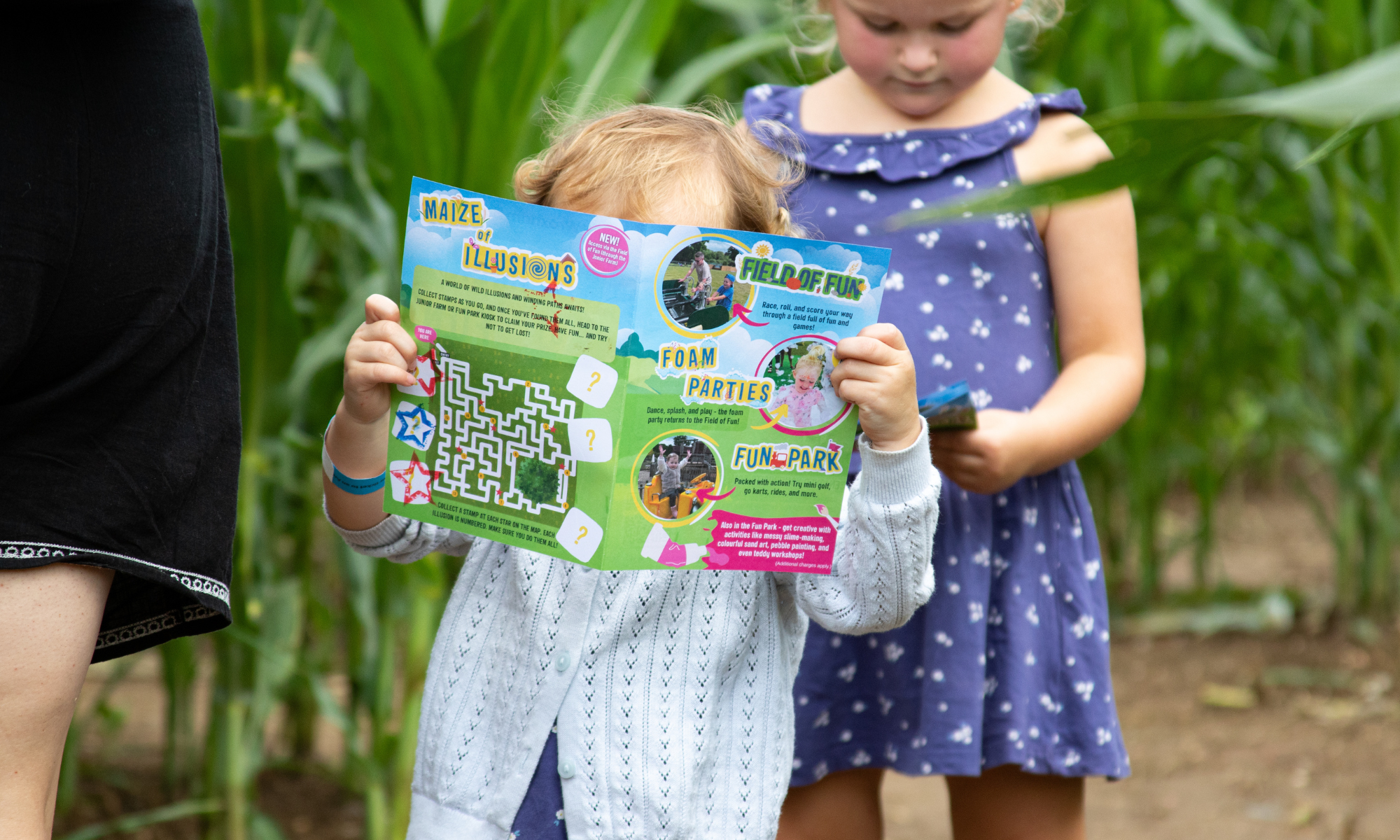 Maize Of Illusions 1