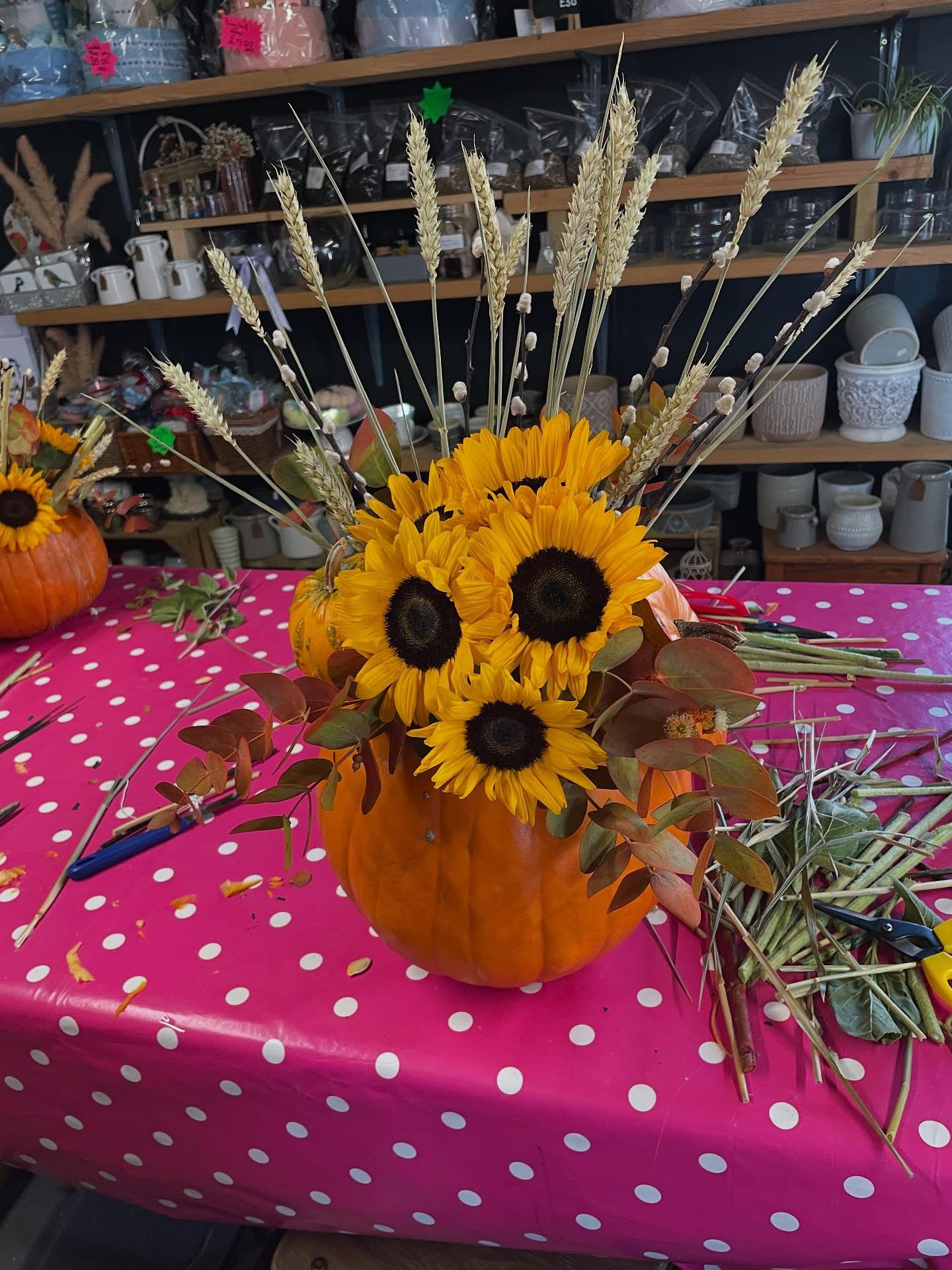 Pumpkin Workshops 1