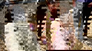 0A191507 6651 407C Bc72 43B5936471bb