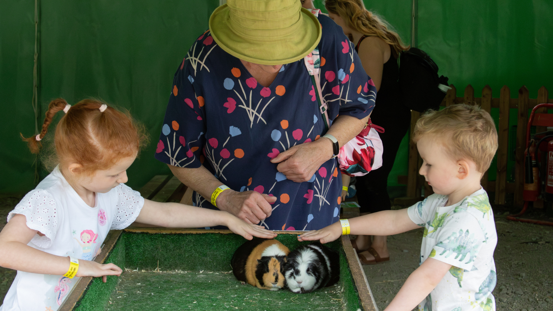 Petting Sessions at Wroxham Barns