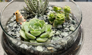Terrarium 2