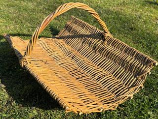 Trug 2
