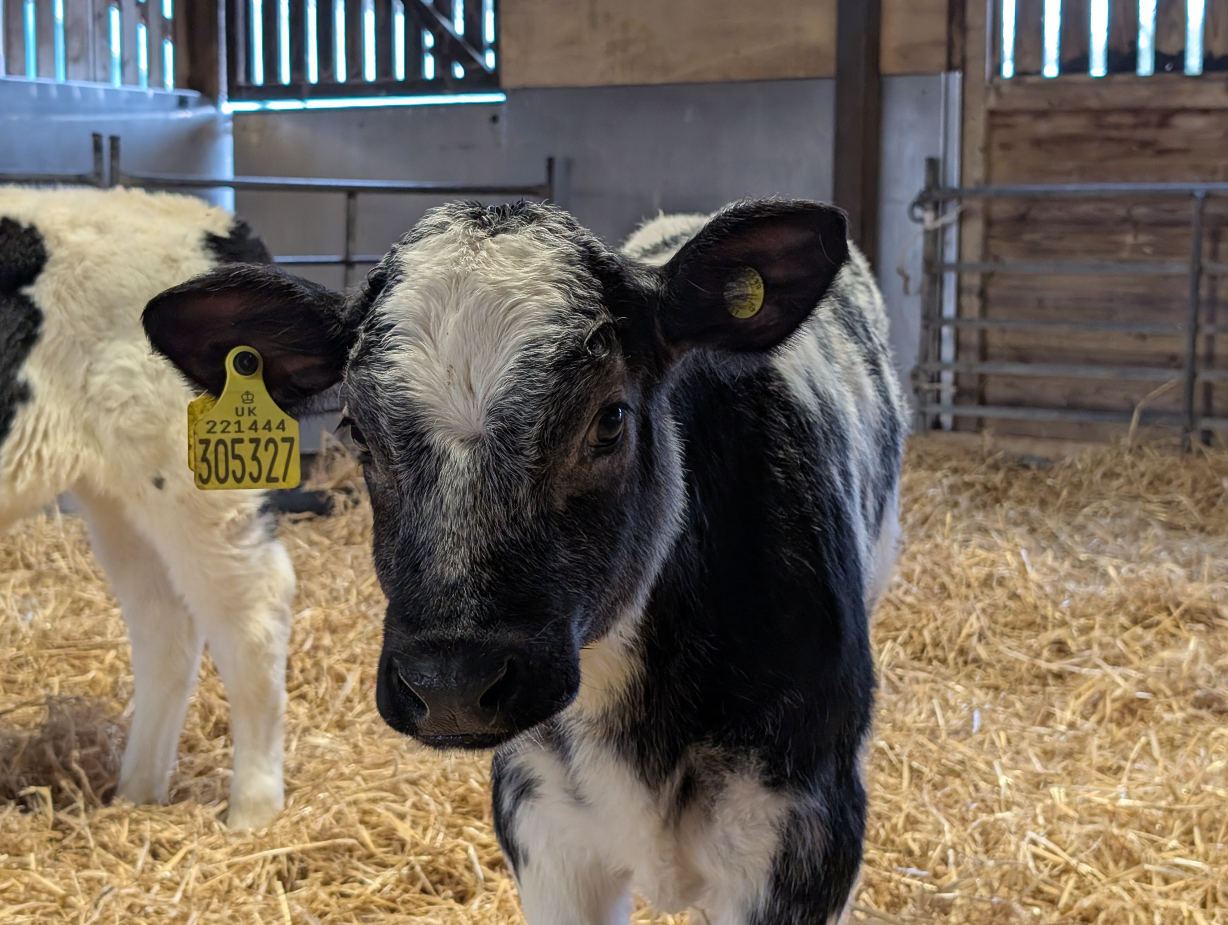 PXL 20250120 110134799.MP