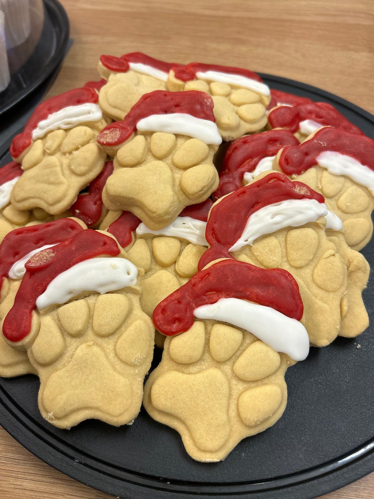 Whatsapp Image 2025 10 09 At 14.04.10 2893A075