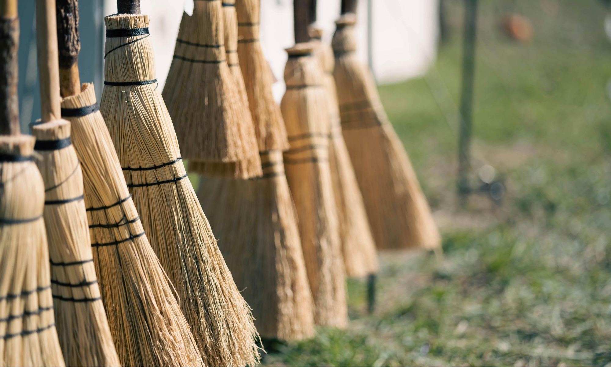 Halloween WB Broomsticks 010